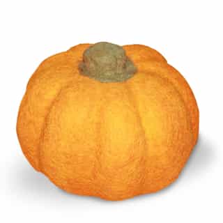Felt Pumpkin | 100% Natural | Made in Nepal