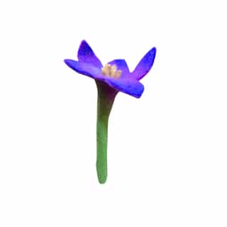 flowers Handmade Multi-Color Felt Flowers – Eco-Friendly Wool Home & Event Décor | Wholesale from Nepal