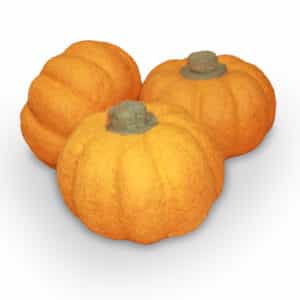 Felt Pumpkin
