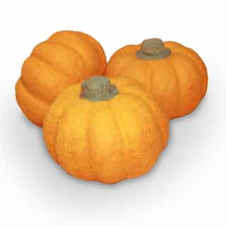 wool pumpkin_02 Vegetables