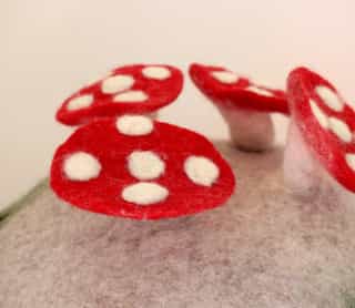 cat cave_mushroom_5 Handmade Felt Mushroom Cat Cave – Cozy, Eco-Friendly Wool Bed from Nepal